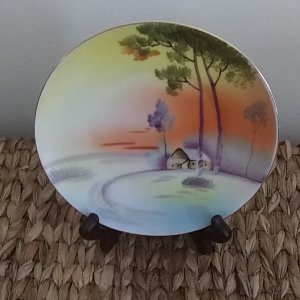 Vintage hand painted plate